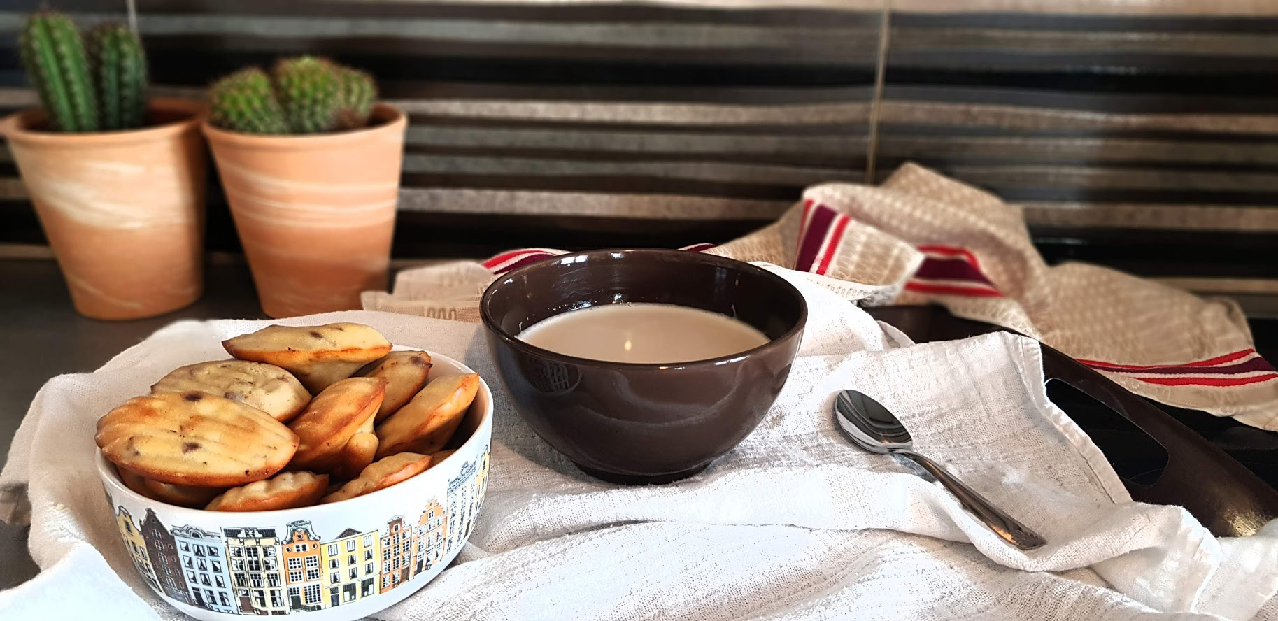 Madeleines aux pépites de chocolat sans sucre et sans beurre